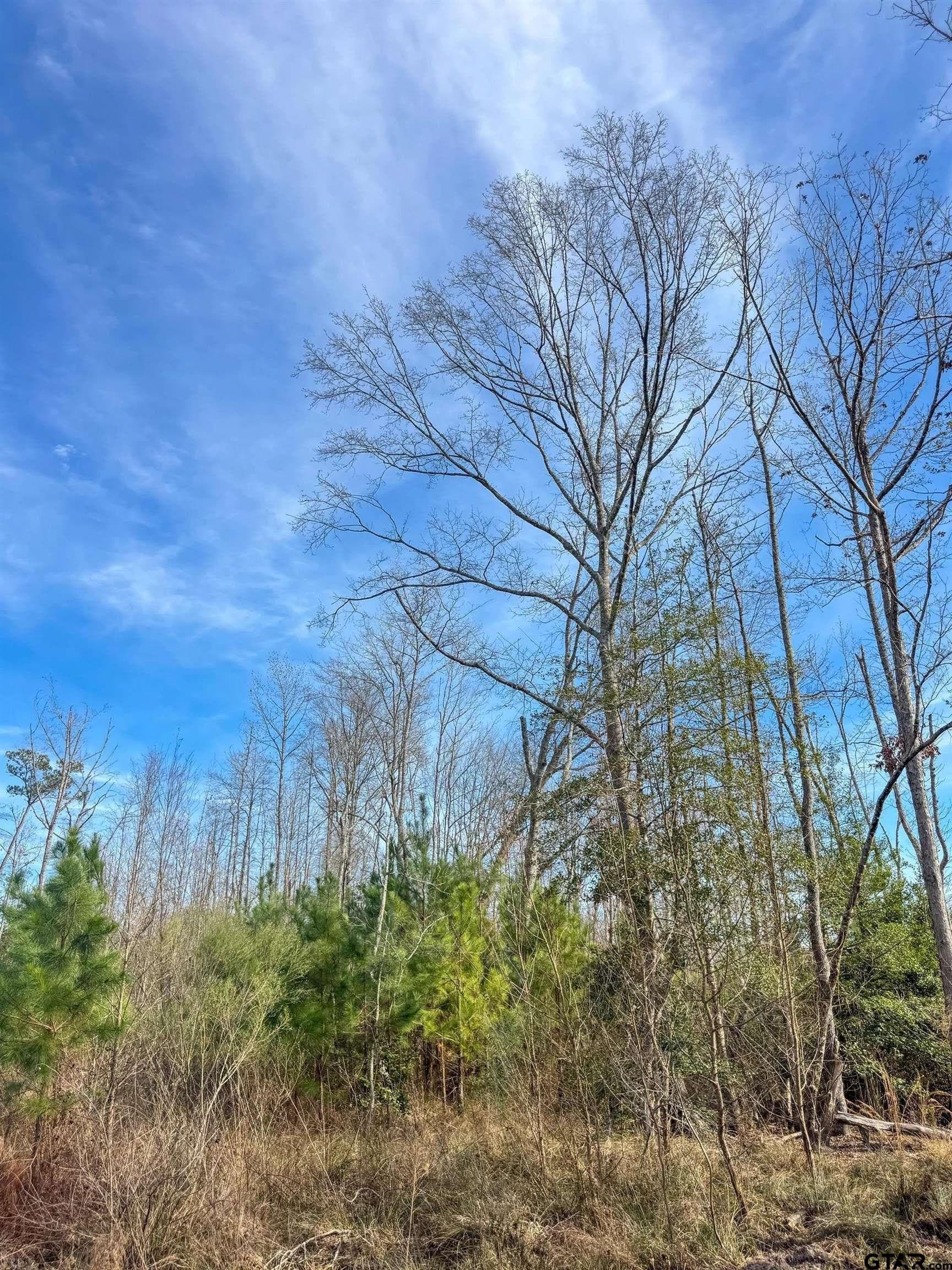 78 acres in Marion County - photo 42