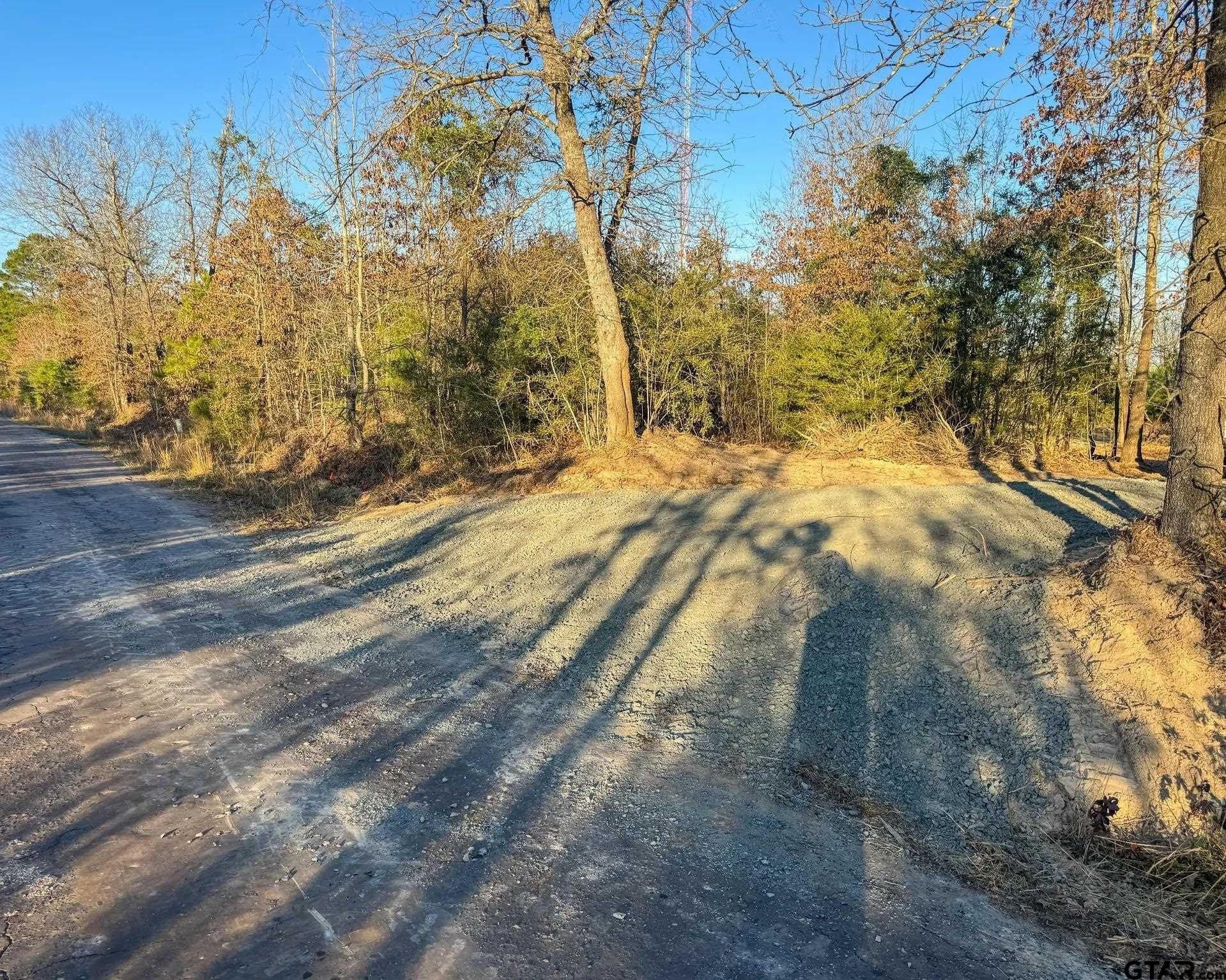 78 acres in Marion County - photo 19
