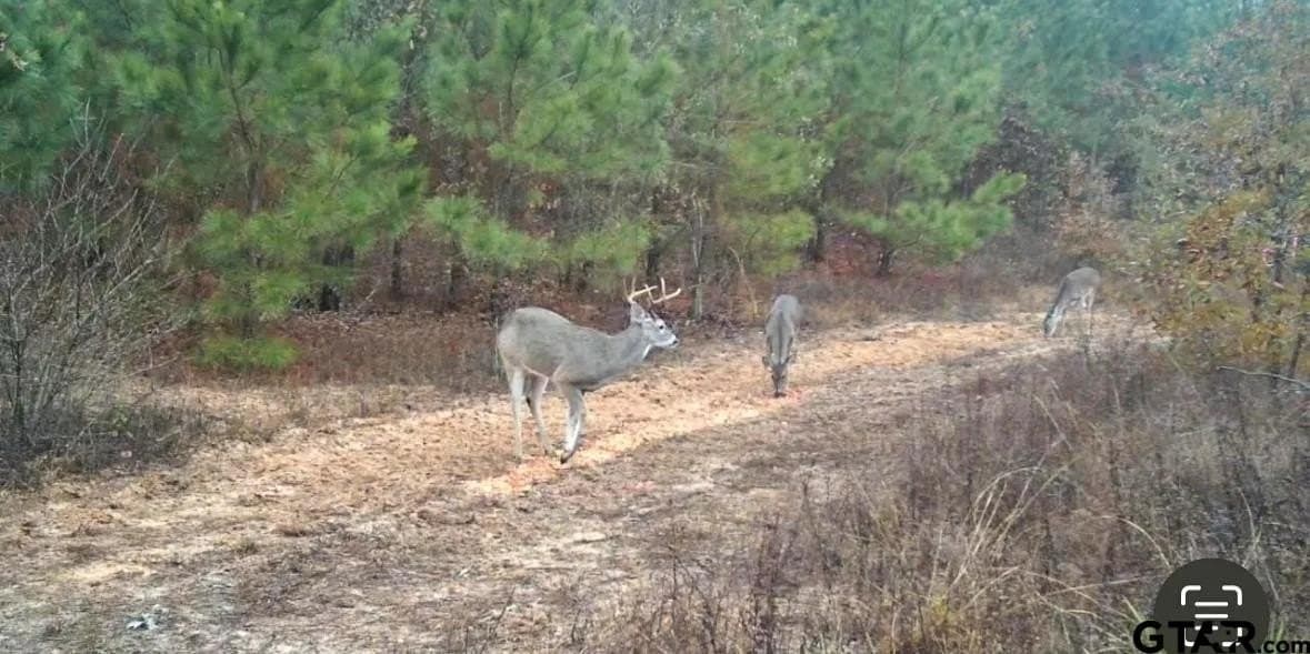 78 acres in Marion County - photo 27