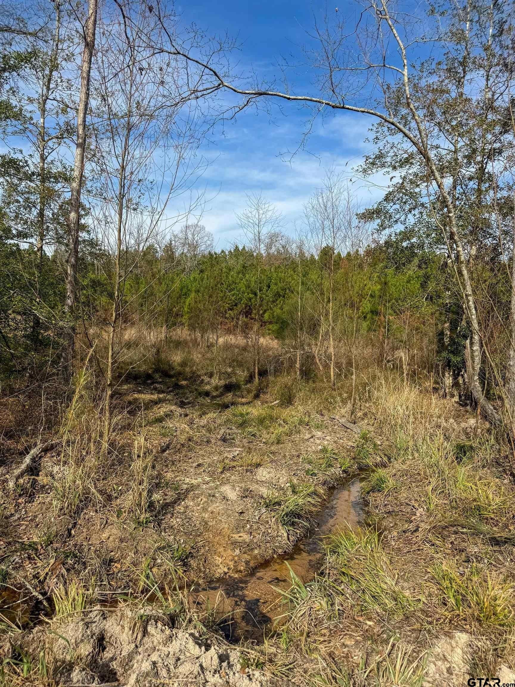 78 acres in Marion County - photo 38