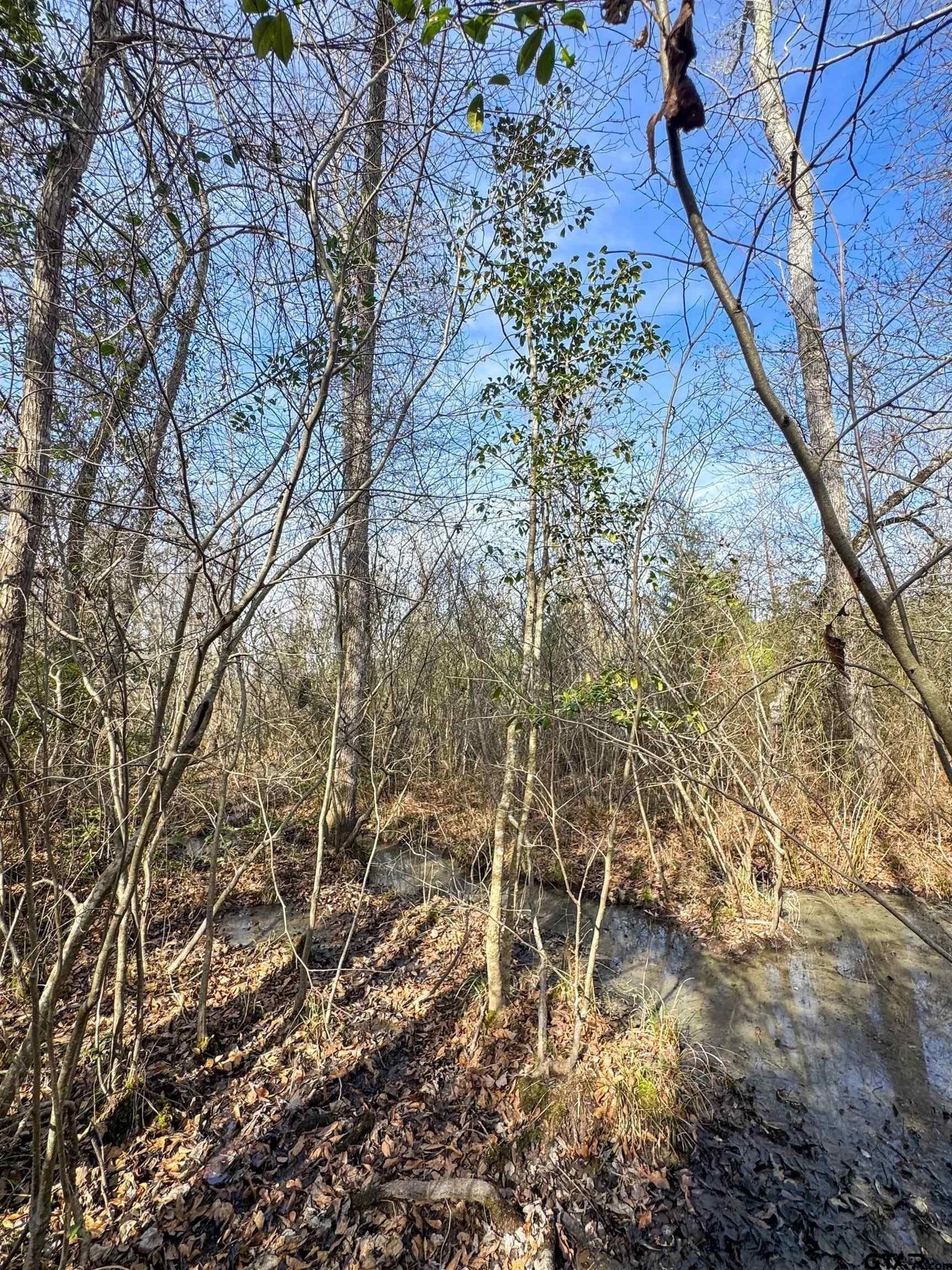 78 acres in Marion County - photo 34