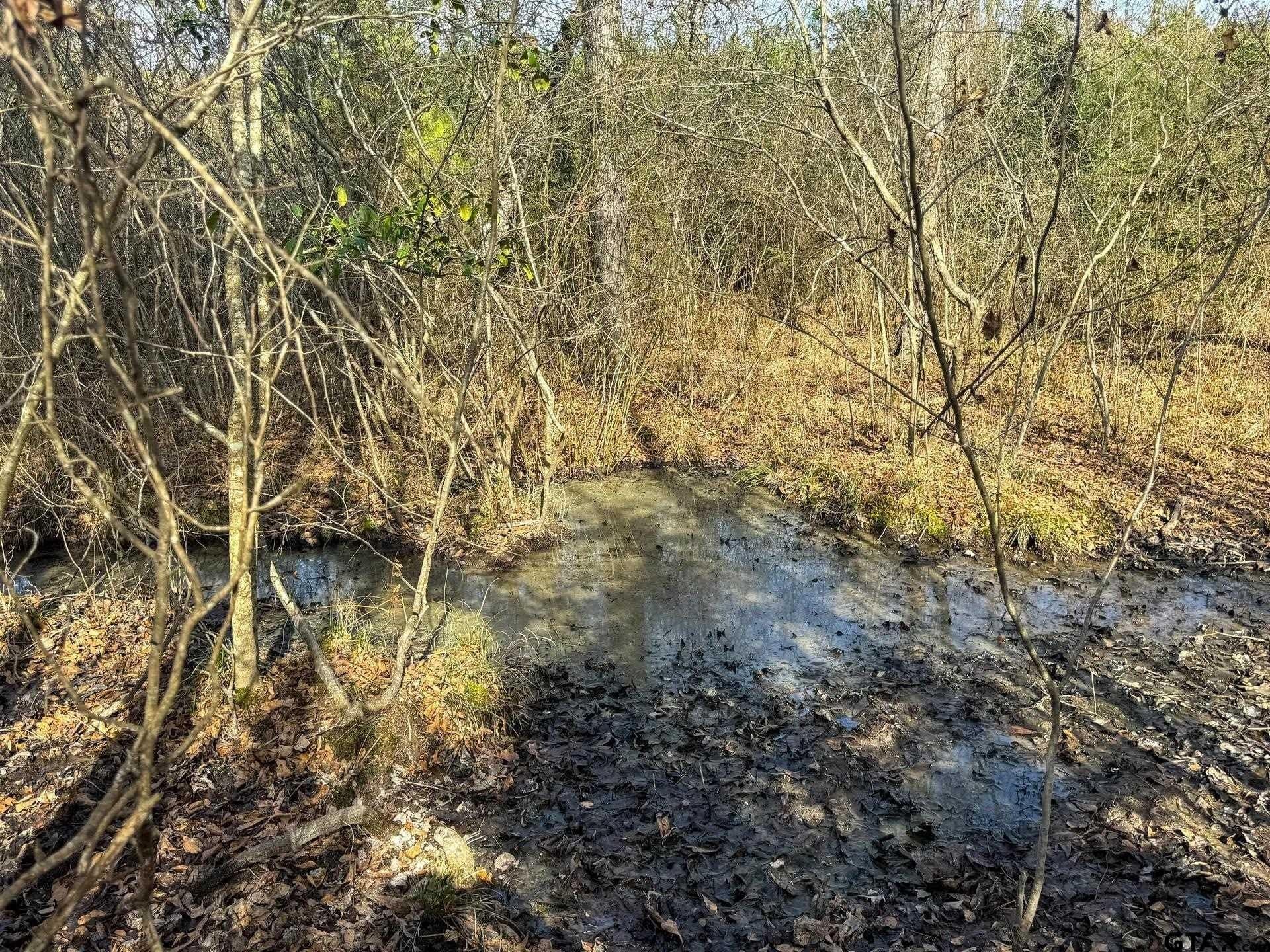 78 acres in Marion County - photo 37