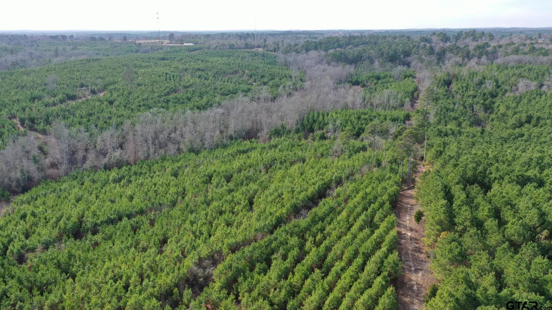 78 acres in Marion County - photo 2
