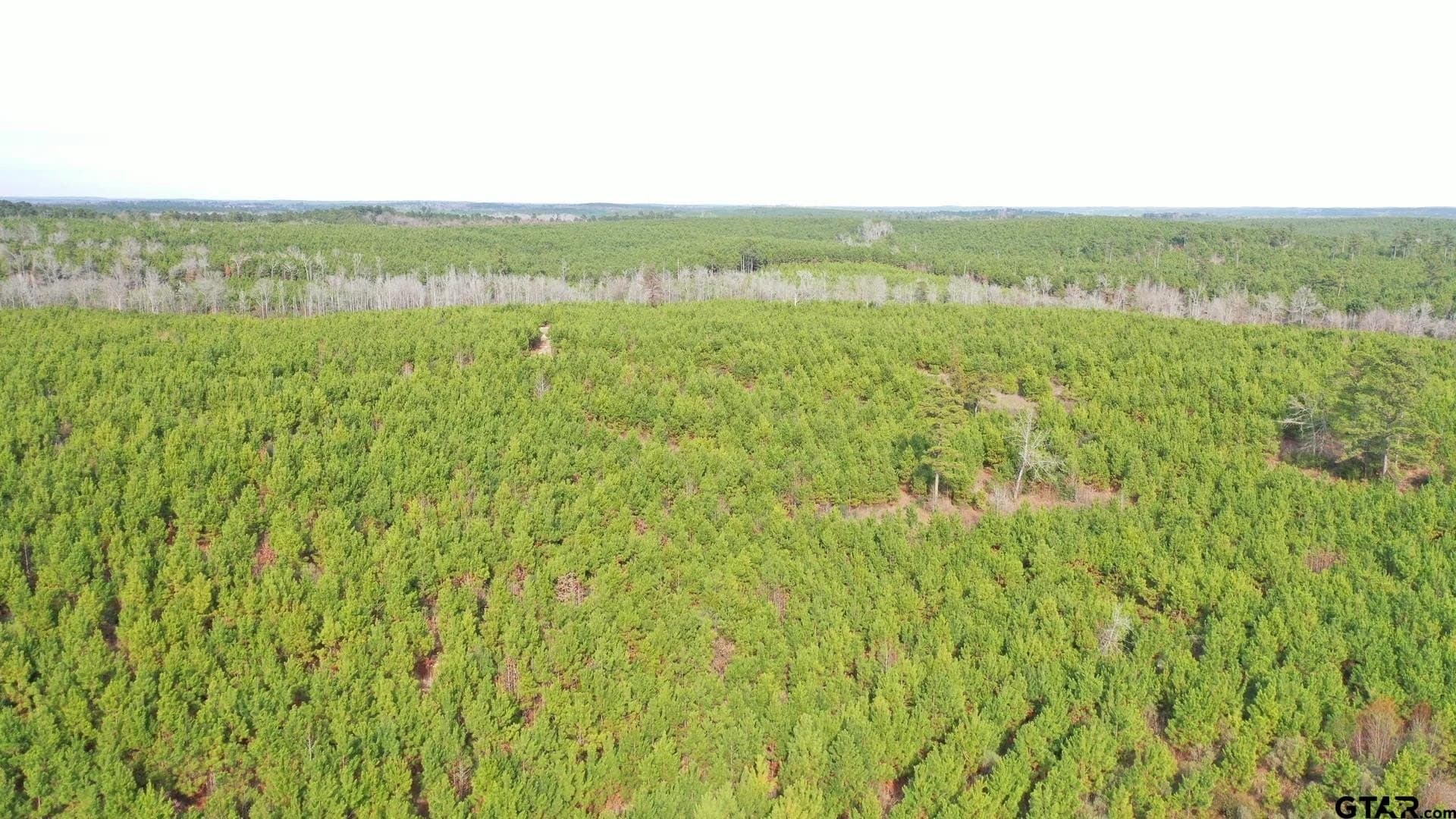 78 acres in Marion County - photo 8