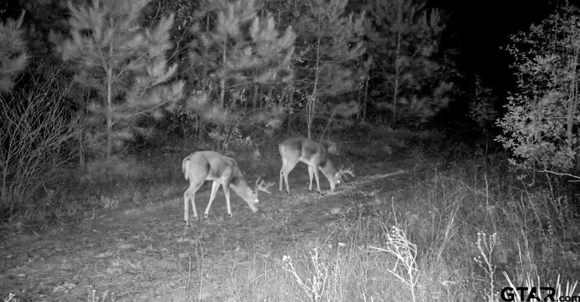 78 acres in Marion County - photo 30