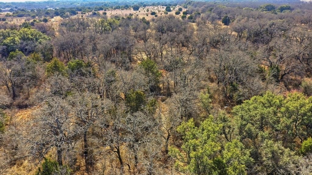27 acres in Callahan County - photo 11