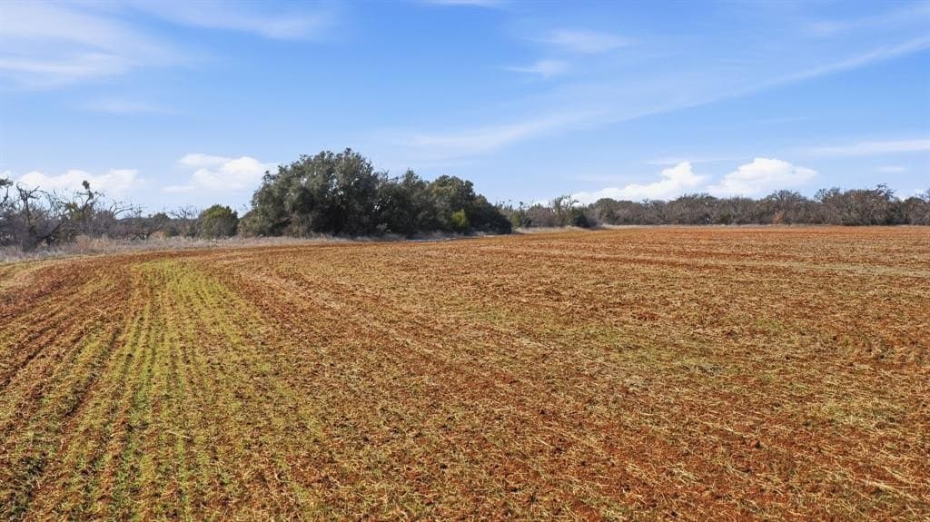 27 acres in Callahan County - photo 19