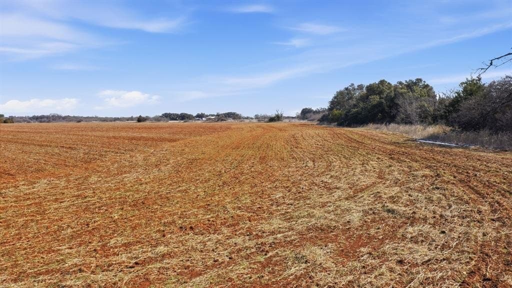 27 acres in Callahan County - photo 15