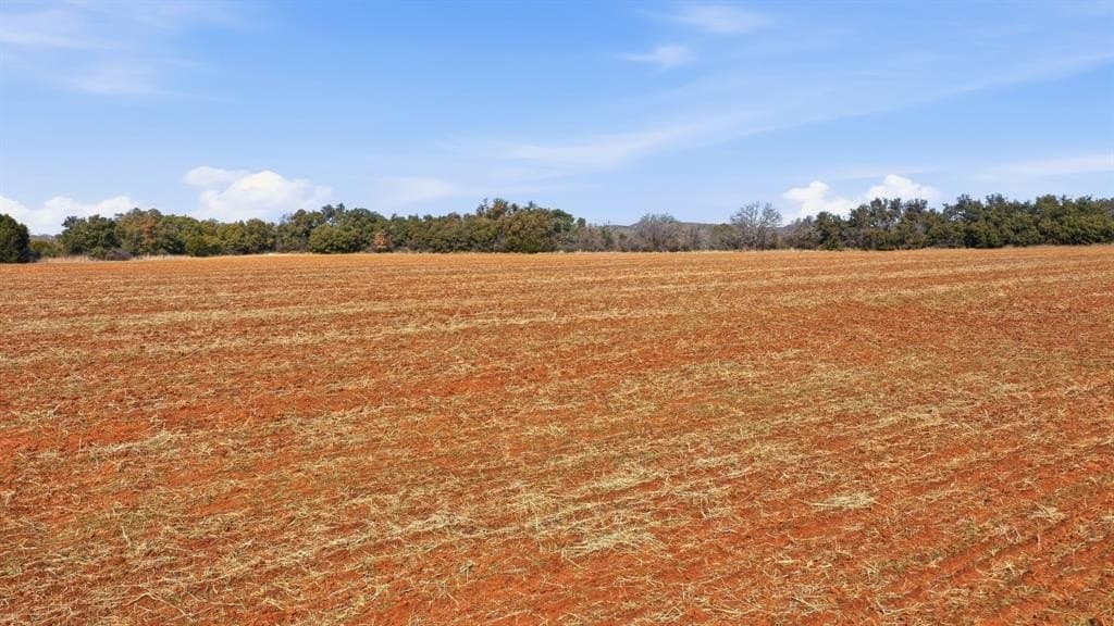 27 acres in Callahan County - photo 20