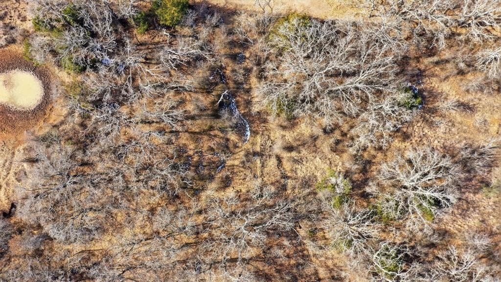 27 acres in Callahan County - photo 5