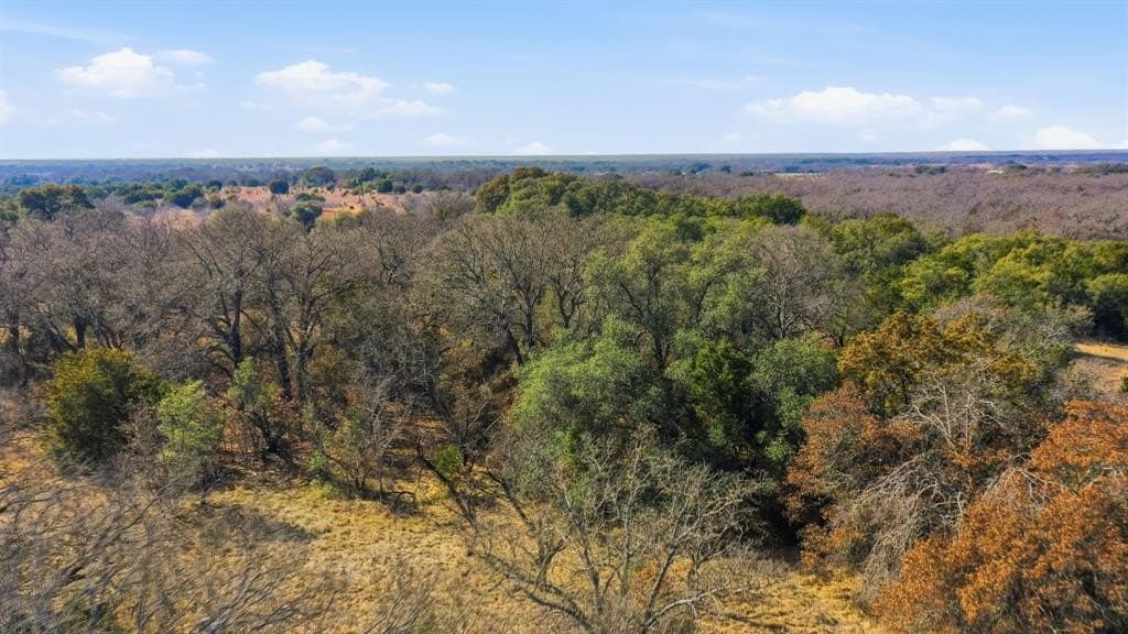 27 acres in Callahan County - photo 13