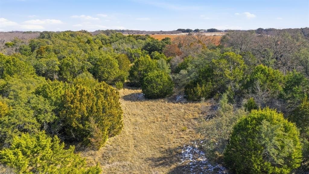 27 acres in Callahan County - photo 12