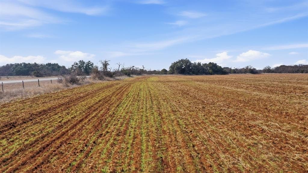 27 acres in Callahan County - photo 22