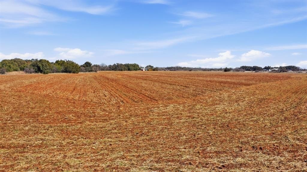 27 acres in Callahan County - photo 16