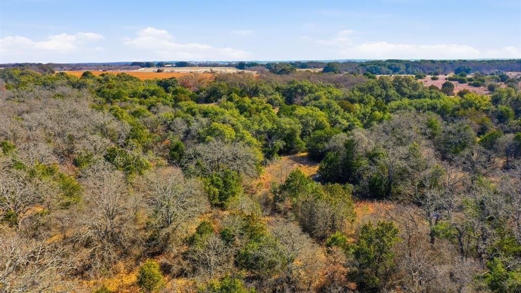 27 acres in Callahan County - photo 10