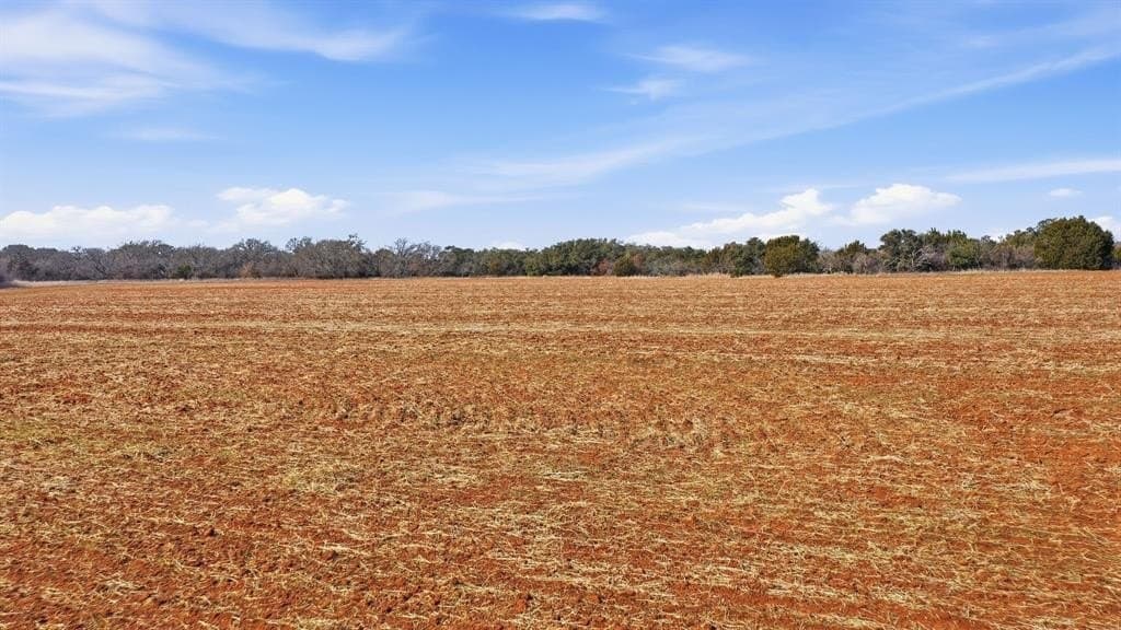 27 acres in Callahan County - photo 18