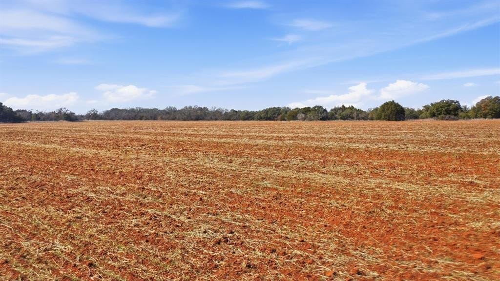 27 acres in Callahan County - photo 21