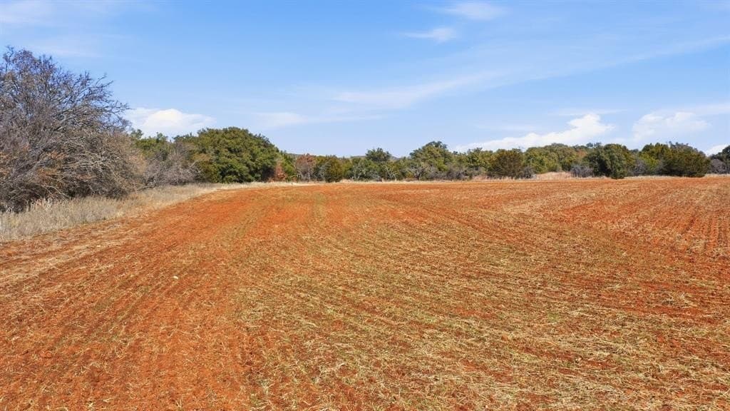 27 acres in Callahan County - photo 17
