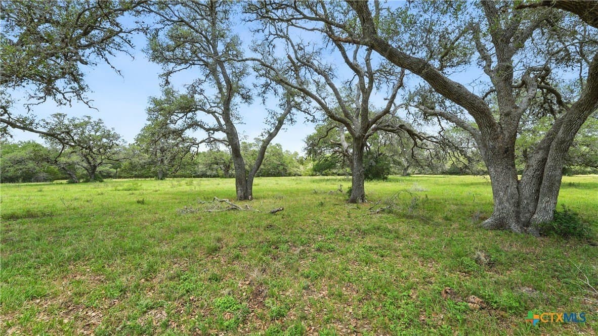 17.97 acres in Lavaca County - photo 22