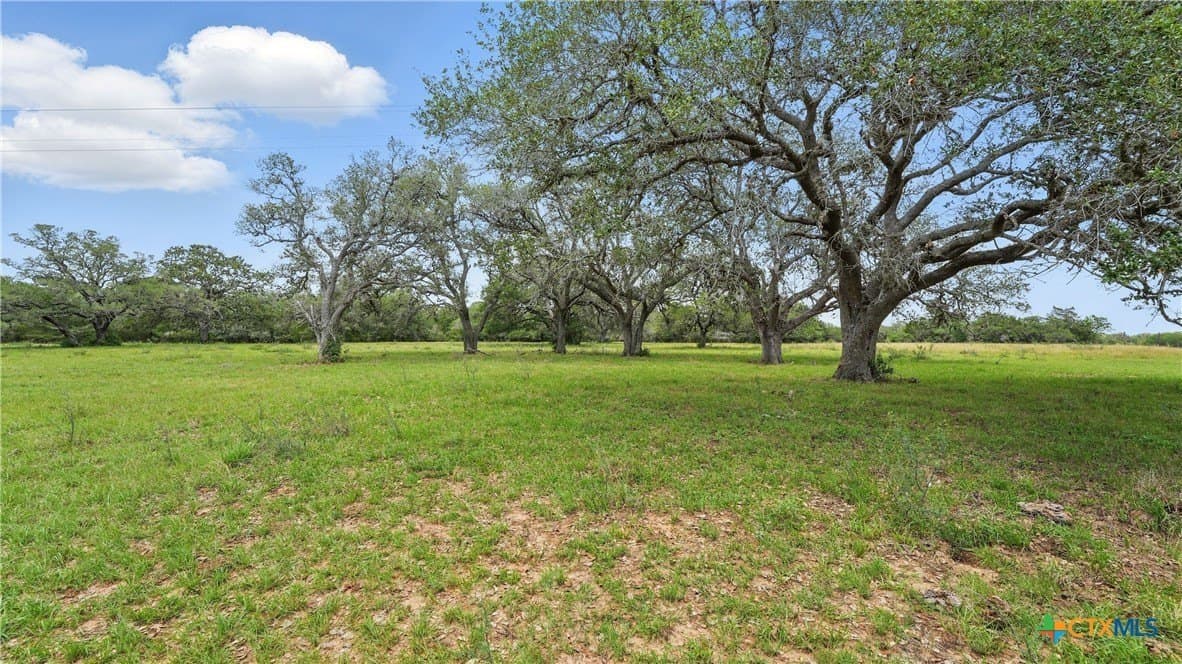 17.97 acres in Lavaca County - photo 18