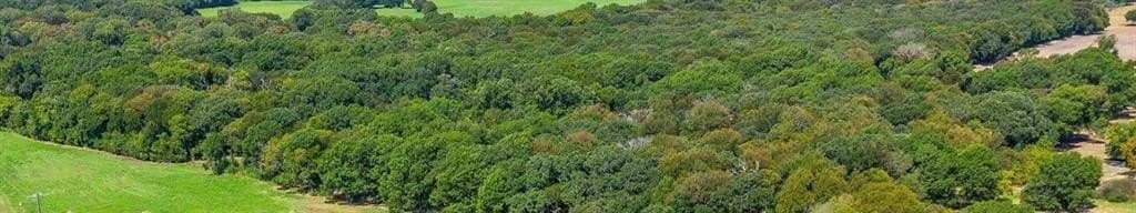 11 acres in Johnson County - photo 4