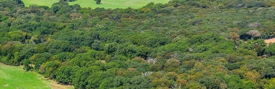 11 acres in Johnson County - photo 5