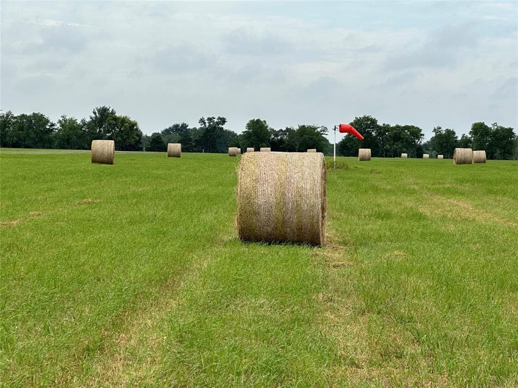 101.72 acres in Hunt County - photo 5