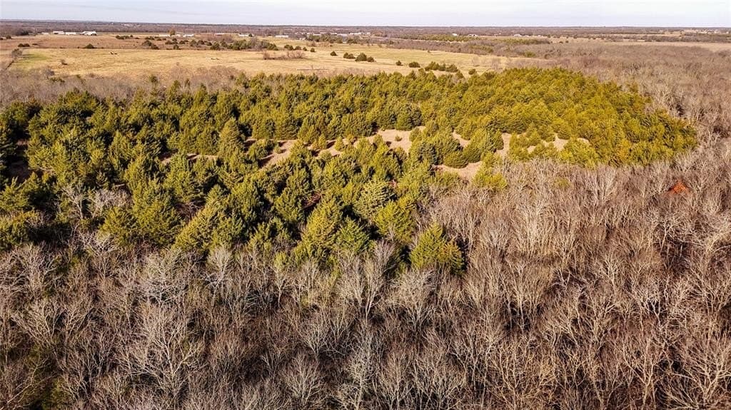 121.21 acres in Hunt County - photo 35