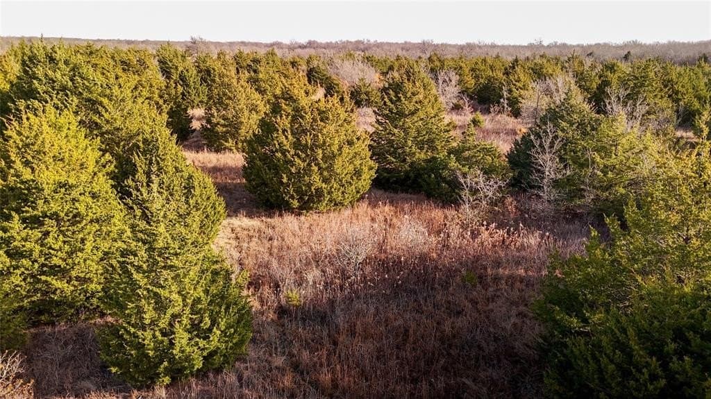 121.21 acres in Hunt County - photo 25