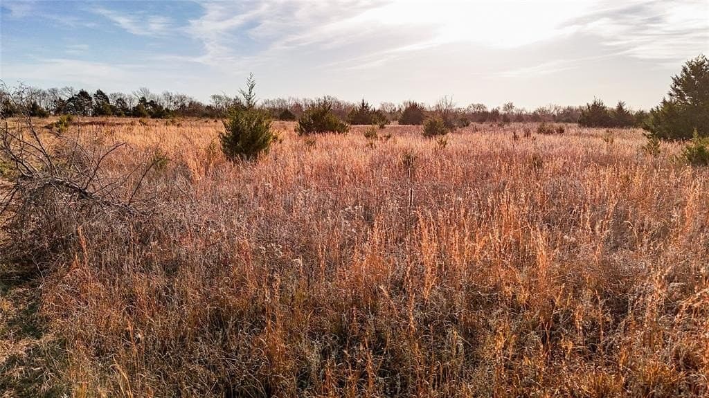 121.21 acres in Hunt County - photo 31