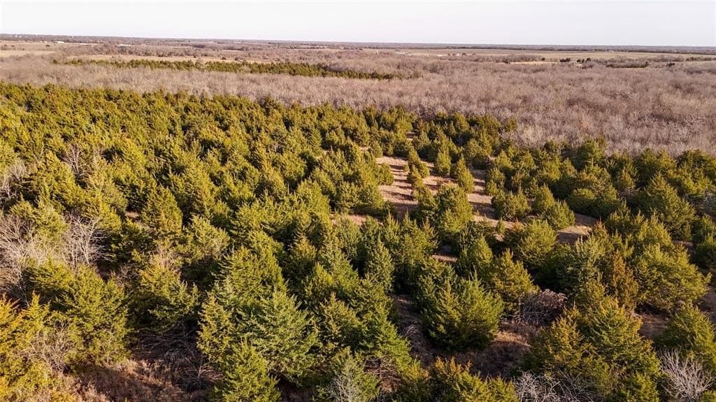 121.21 acres in Hunt County - photo 5