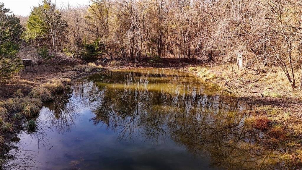 121.21 acres in Hunt County - photo 3