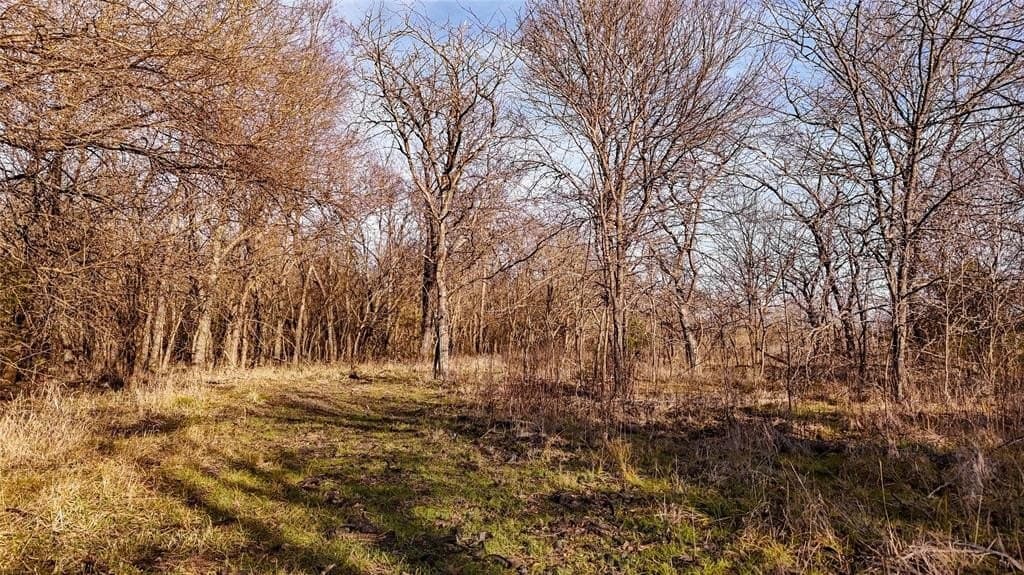121.21 acres in Hunt County - photo 30