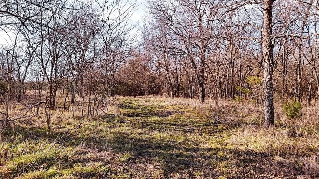 121.21 acres in Hunt County - photo 32