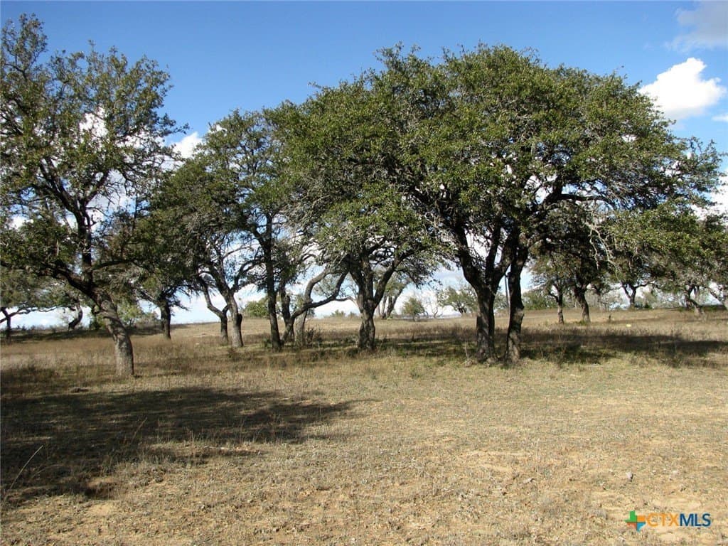 5.01 acres in Coryell County - photo 19
