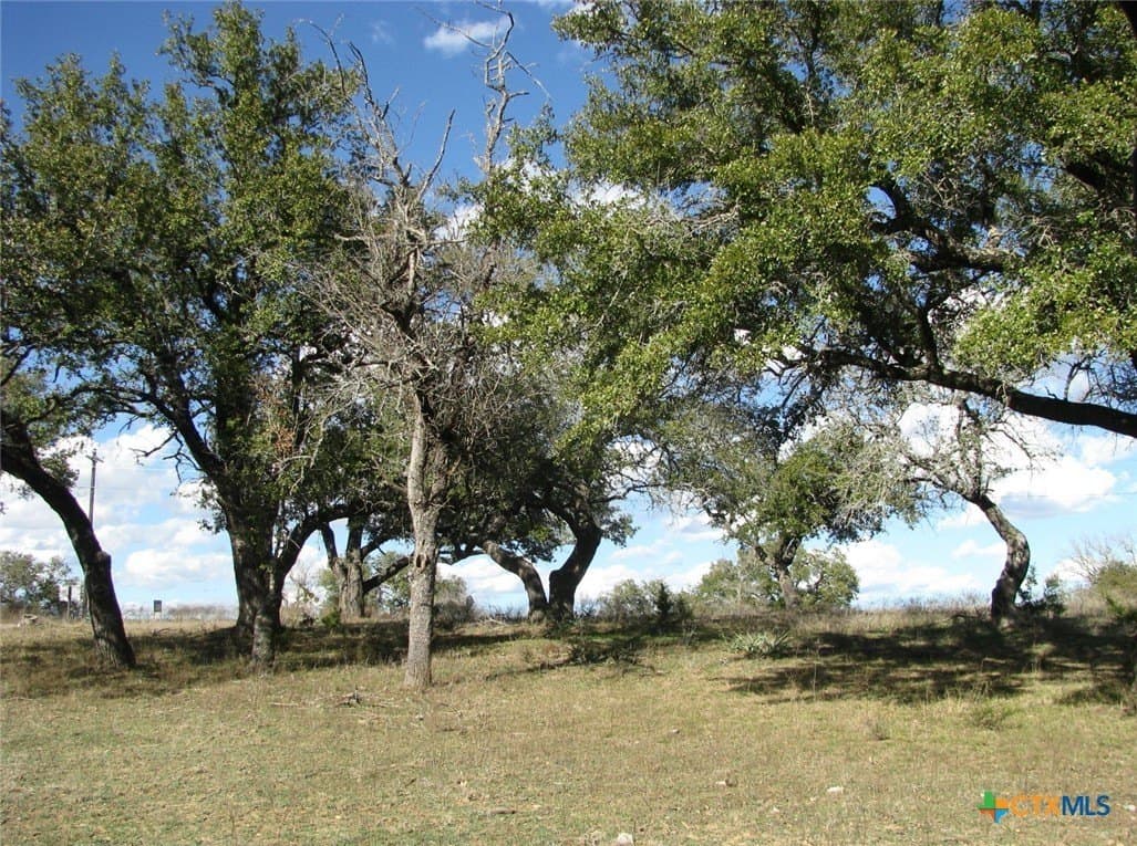 5.01 acres in Coryell County - photo 8