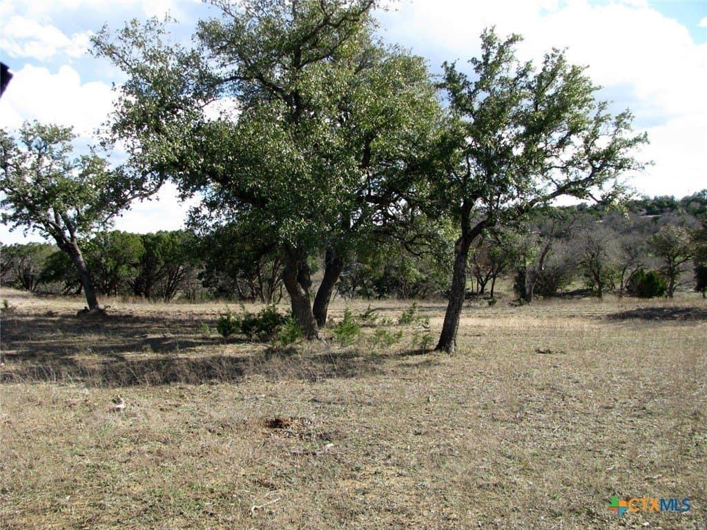 5.01 acres in Coryell County - photo 7