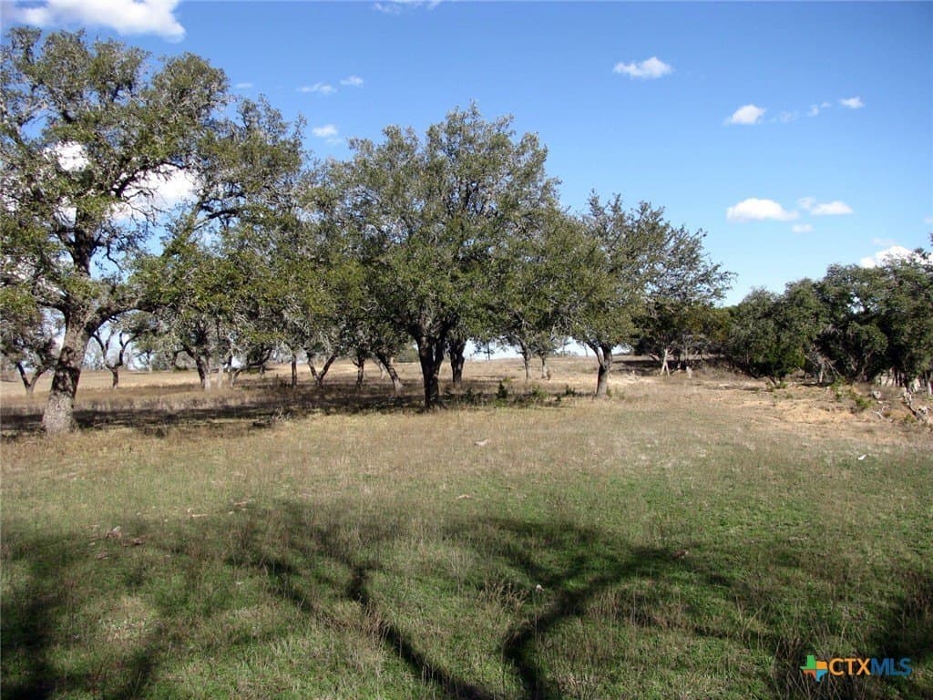 5.01 acres in Coryell County - photo 18