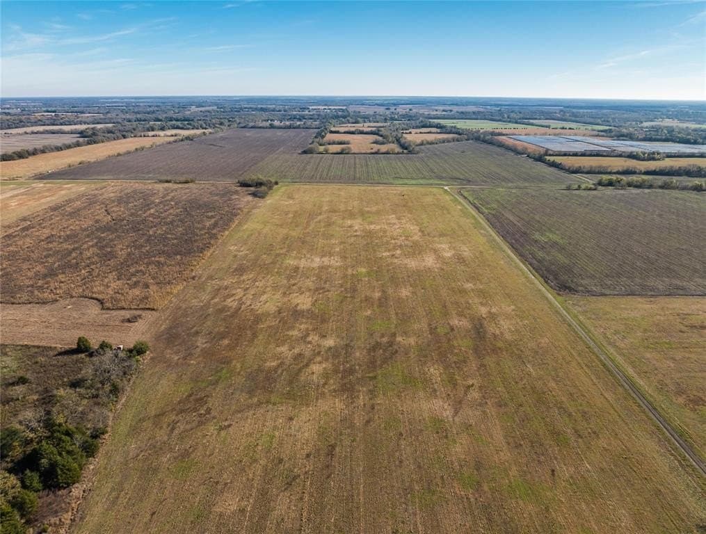25 acres in Lamar County - photo 17
