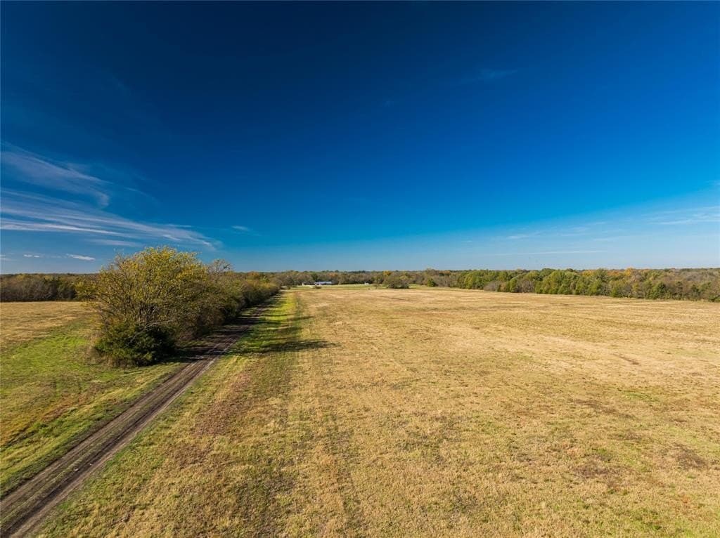 25 acres in Lamar County - photo 7