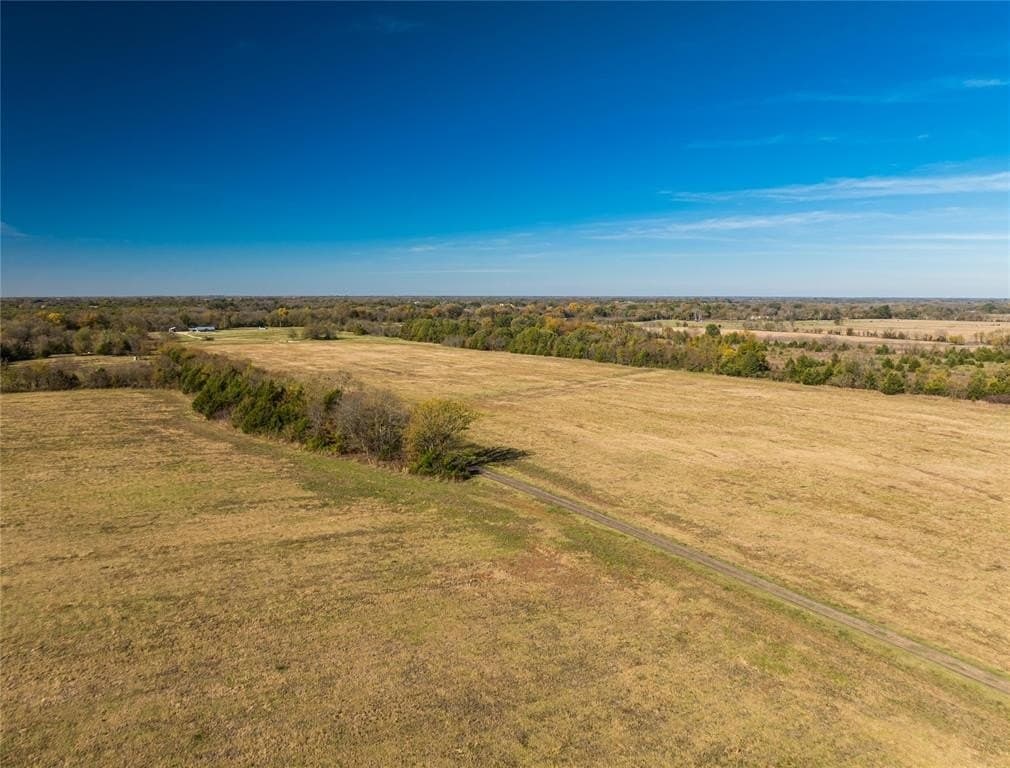 25 acres in Lamar County - photo 4