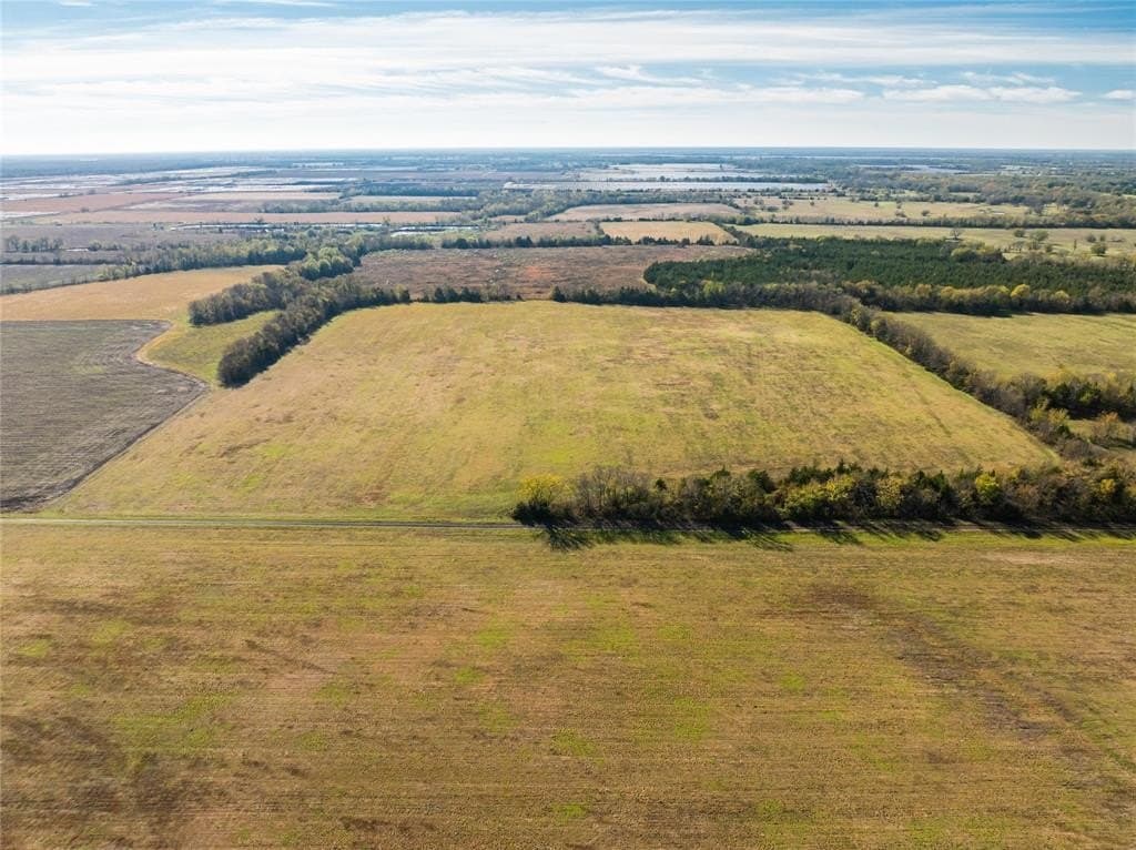 25 acres in Lamar County - photo 16
