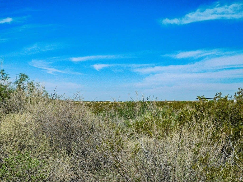 20 acres in Brewster County - photo 11