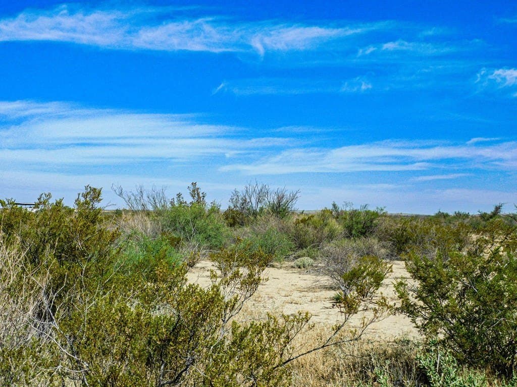 20 acres in Brewster County - photo 10