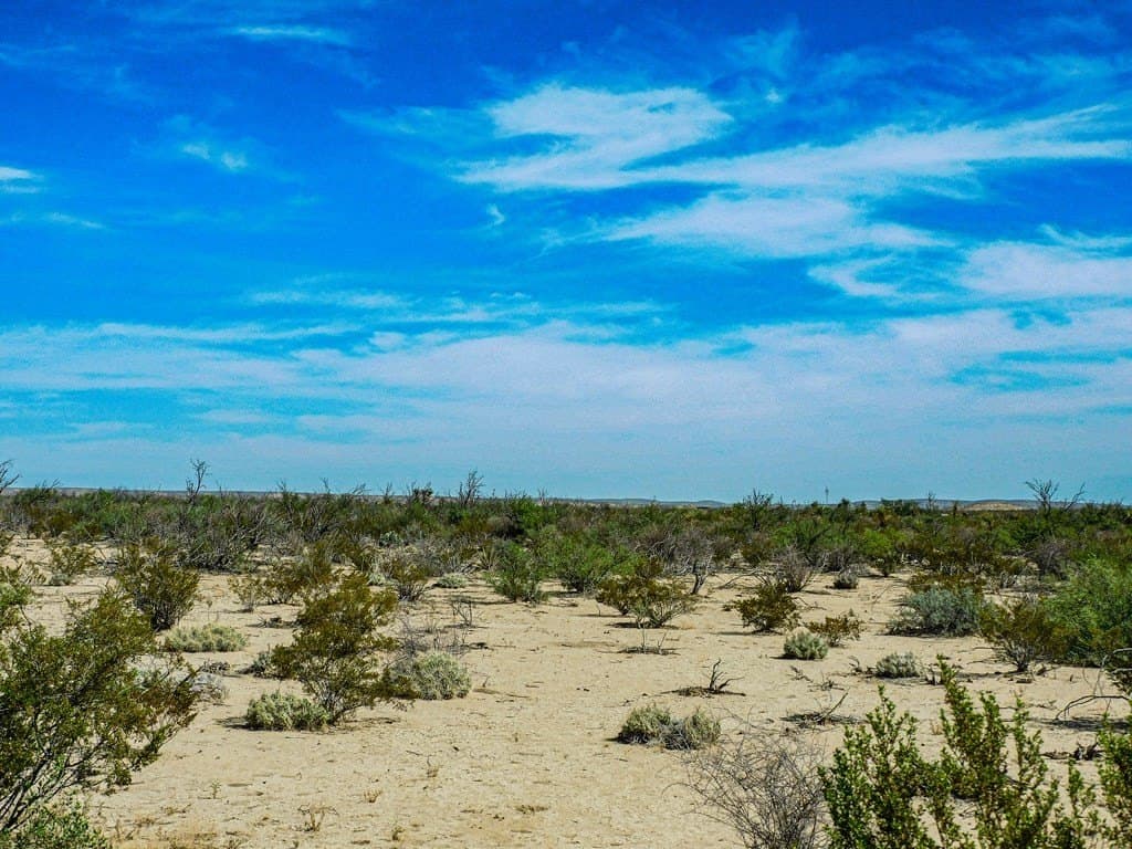 20 acres in Brewster County - photo 9