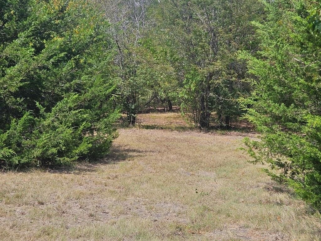 15.84 acres in Collin County - photo 16