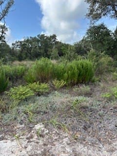 0 acres in Texas County - photo 2