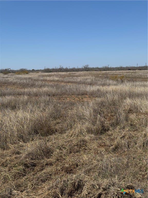 11 acres in Atascosa County - photo 3