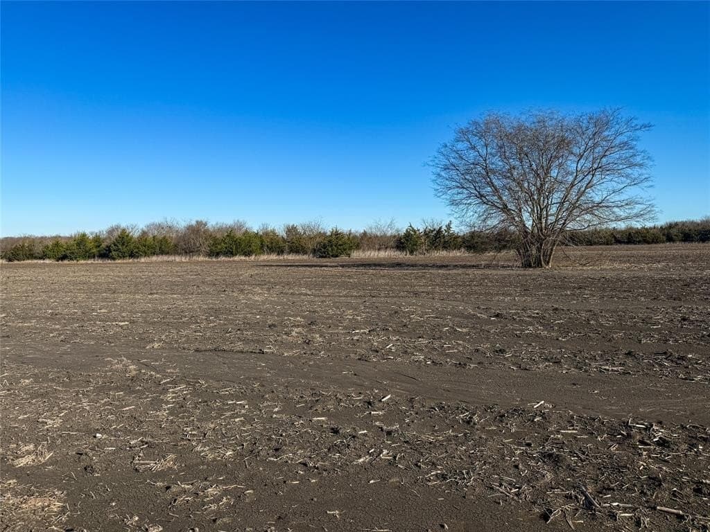 575.42 acres in Delta County - photo 15