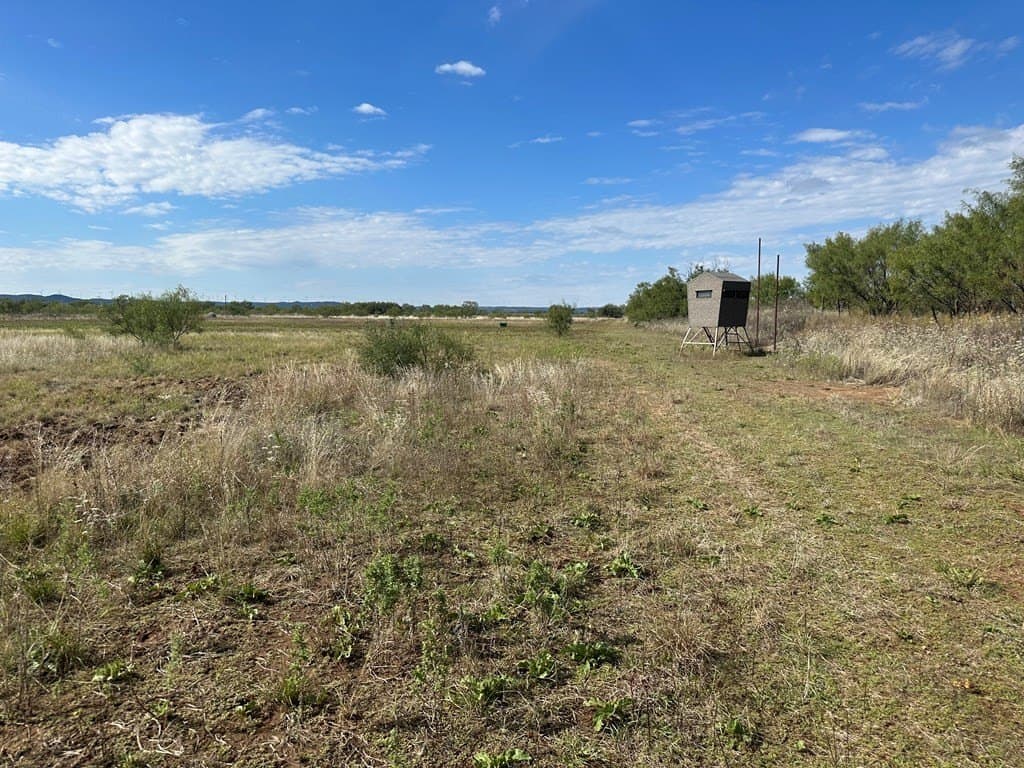 20.05 acres in Taylor County - photo 8